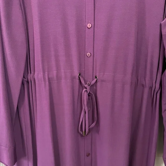 Eileen Fisher NWT Button-Front Long-Sleeve Drawstring Tencel Shirt Dress - Picture 3 of 13